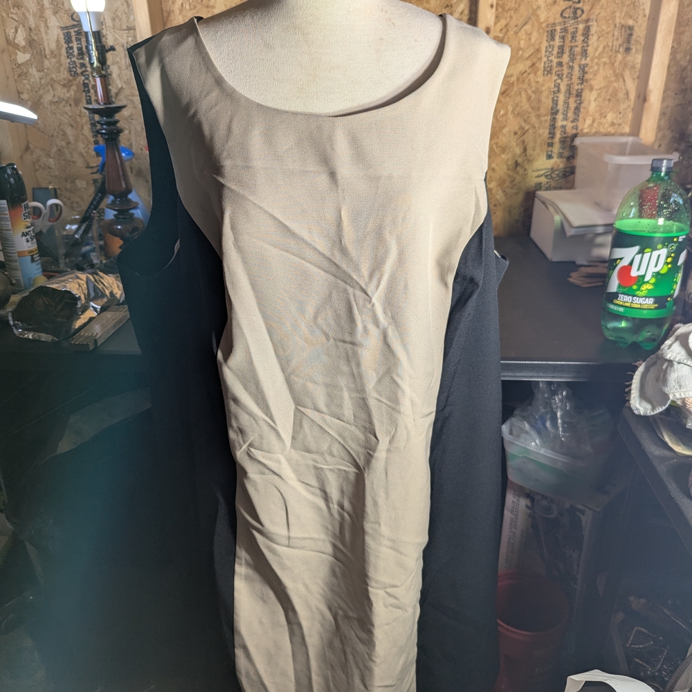 Elegant Black and Cream Dress